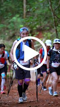 BIB:  <button type="button" onclick="openModal(27507624)" class="btn btn-primary btn-sm float-right" data-toggle="modal" data-target=".modal-high-quality">
                <i class="fa fa-download"></i> Download
                </button>